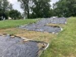 tarping for weed control
